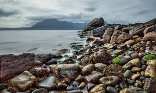 Scottish Shoreline ALT
